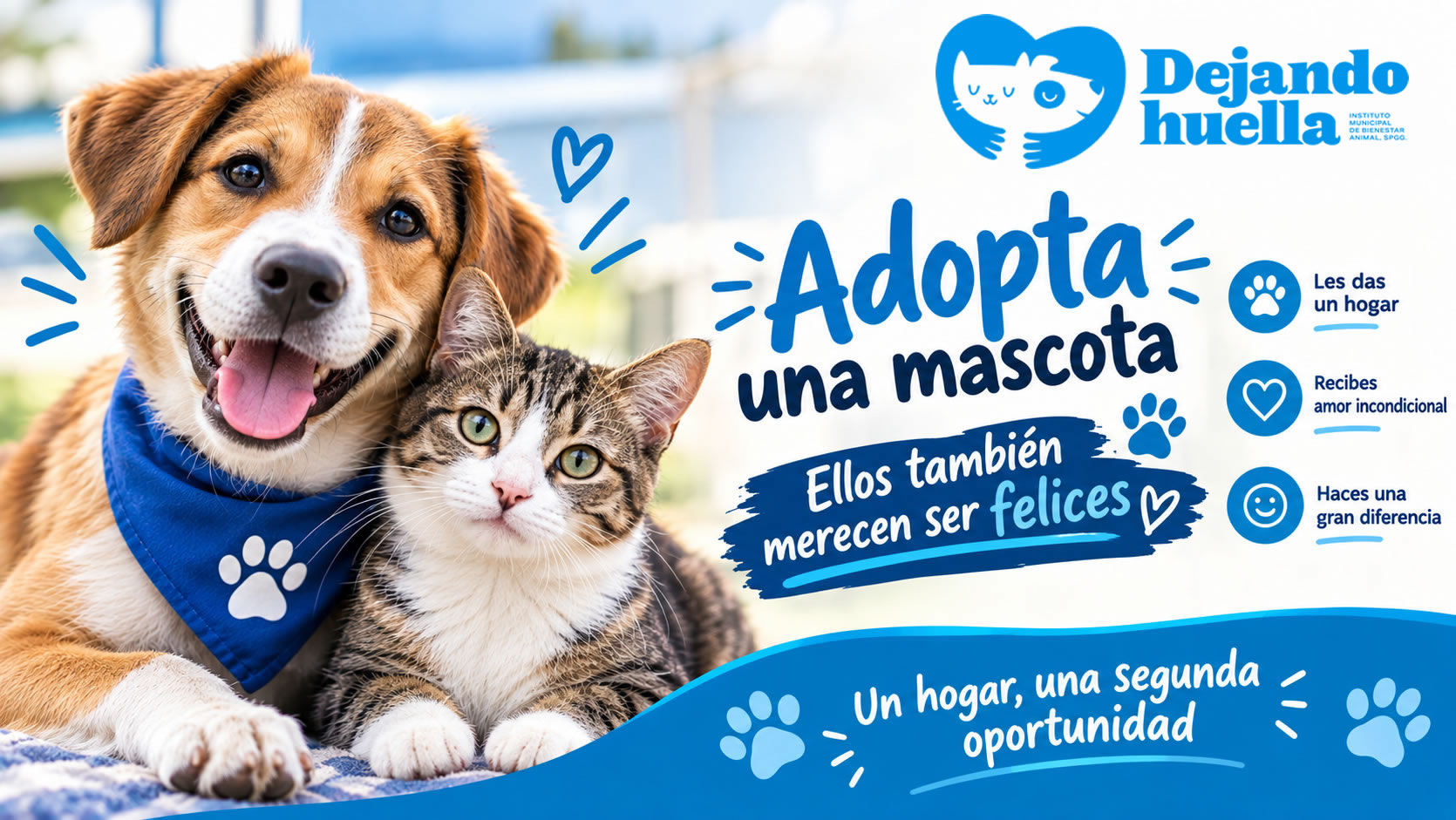 Publicidad